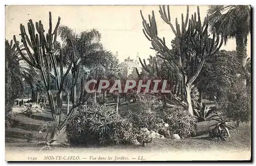 Cartes postales Monte Carlo Vue dans les jardins