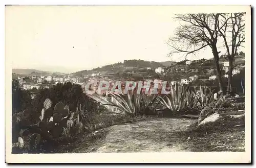 Cartes postales Paysage Cactus