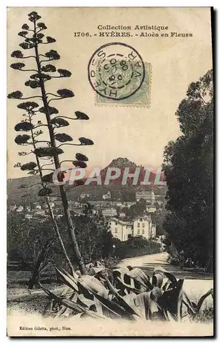 Cartes postales Hyeres Aloes en fleurs