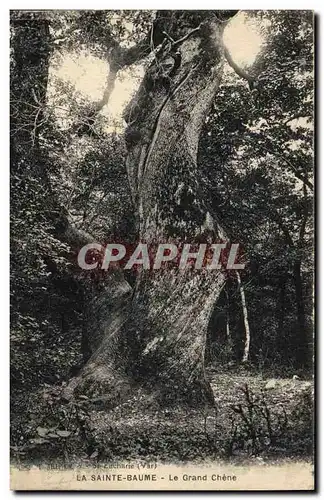 Ansichtskarte AK Arbre La Sainte Baume Le grand chene