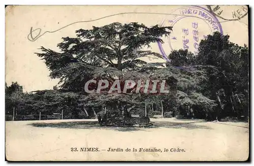 Cartes postales Arbre Nimes Jardin de la fontaine Le Cedre