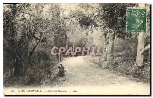 Ansichtskarte AK Arbre Saint Raphael Allee des Mimosas