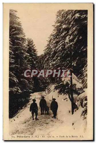 Ansichtskarte AK Arbre Peira Cava Foret de la Mairis Chasseurs Alpins Militaria