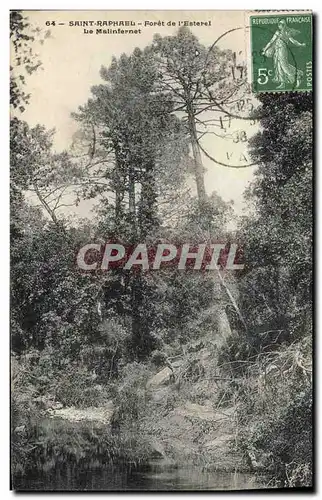 Cartes postales Arbre Saint Raphael Foret de l&#39Esterel Le Malinfernet