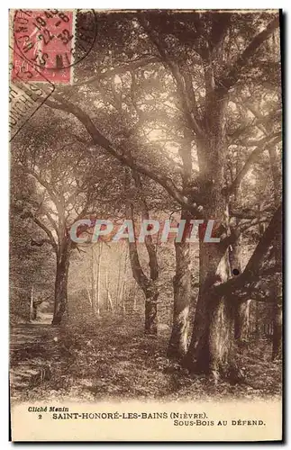 Cartes postales Arbre Saint Honore les Bains Sous bois au defend