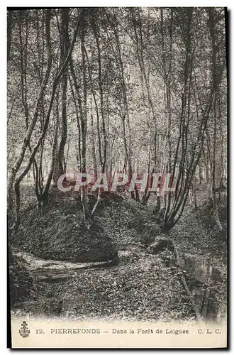 Ansichtskarte AK Arbre Pierrefonds Dans la foret de Laigues