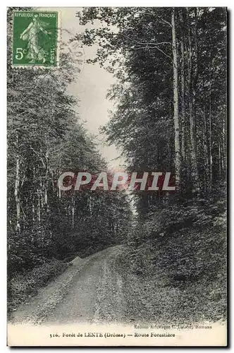 Cartes postales Arbre Foret de Lente Route forestiere