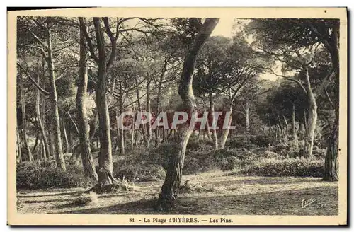 Cartes postales Arbre La plage d&#39Hyeres Les pins