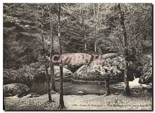 Ansichtskarte AK Arbre Foret de Huelgoat Vue generale de la mare aux sangliers