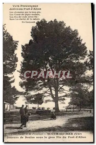Cartes postales Arbre St Cyr sur Mer Var Joueurs de boules sous le gros pin du Port d&#39Allon Petanque