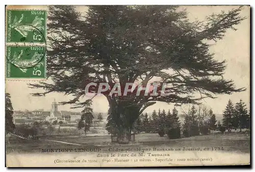 Cartes postales Arbre Montigny Lencoup Cedre plante par Bernard de Jussieu dans le parc de M Trudaine
