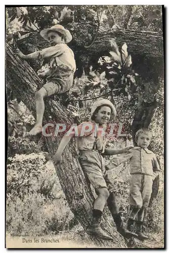 Ansichtskarte AK Arbre Dans les branches Enfants