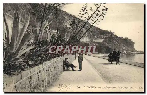 Ansichtskarte AK Fleurs Menton Le boulevar de la frontiere Cactus