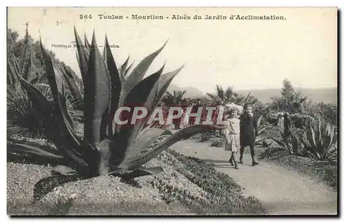 Ansichtskarte AK Fleurs Toulon Morillon aloes du jardin d&#39acclimation Enfants