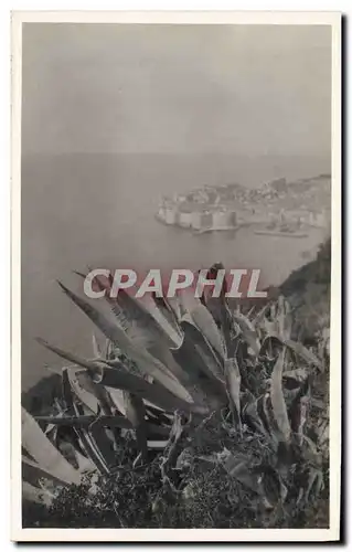 Cartes postales Fleurs Dubrovnik Cactus