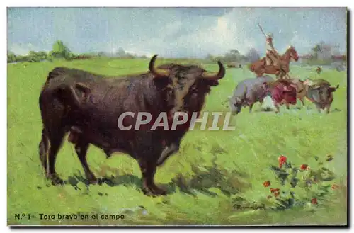 Cartes postales Corrida Course de taureaux Toro bravo en el campo