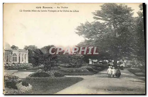 Ansichtskarte AK Arbre Rennes Au Thabor La grande allee du jardin francais et le Cedre du Liban