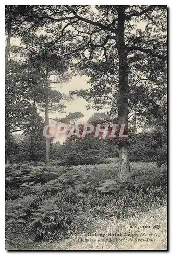 Ansichtskarte AK Arbre Boissy Saint Leger Clairiere dans la foret de Gros Bois