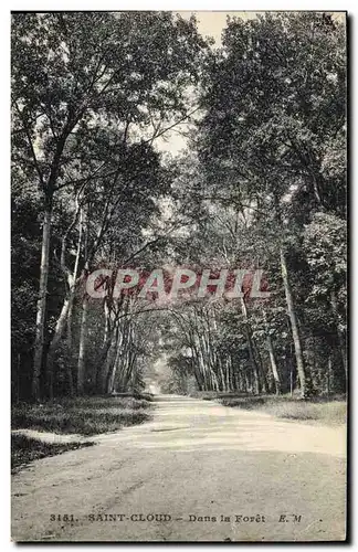 Cartes postales Arbre Saint Cloud Dans la foret