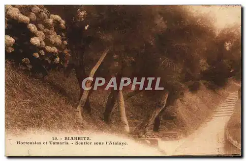 Cartes postales Arbre Biarritz Hortensias et Tamaris Sentier sous l&#39atalaye