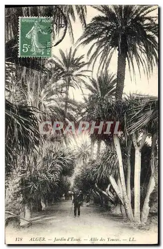 Cartes postales Arbre Alger Jardin d&#39essai Allee des Youcas