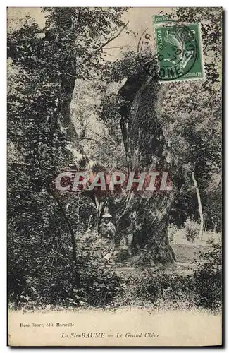 Ansichtskarte AK Arbre La Sainte Baume le grand chene