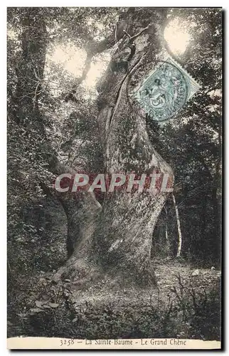 Cartes postales Arbre La Sainte Baume Le Grand Chene