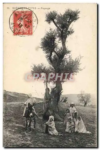 Ansichtskarte AK Arbre Algerie Enfants