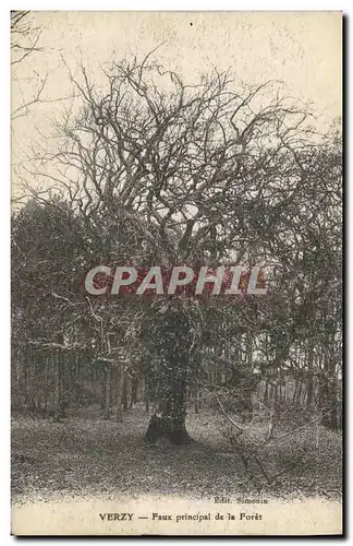 Cartes postales Arbre Verzy Faux principal de la foret