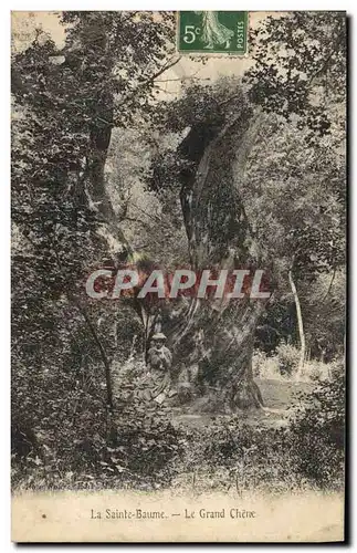 Ansichtskarte AK Arbre La Sainte Baume Le grand chene