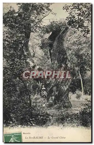 Ansichtskarte AK Arbre La Sainte Baume Le grand chene