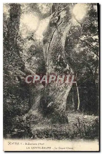 Ansichtskarte AK Arbre La Sainte Baume Le grand chene