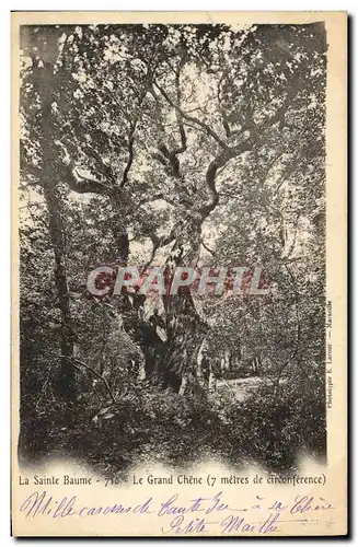 Cartes postales Arbre La Sainte Baume Le grand chene