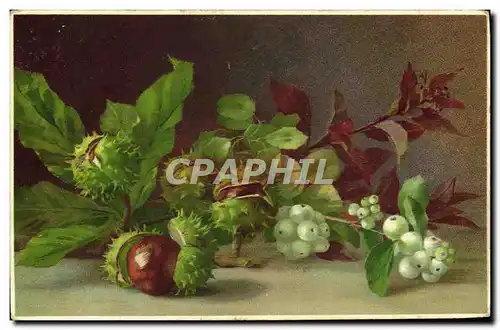 Cartes postales Fantaisie Fleurs