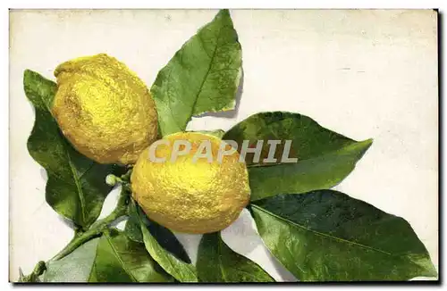 Cartes postales Fantaisie Fleurs Citron