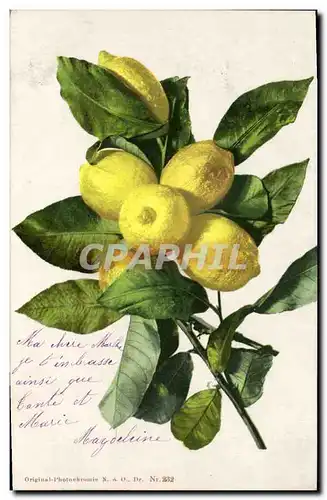 Cartes postales Fantaisie Fleurs Citron