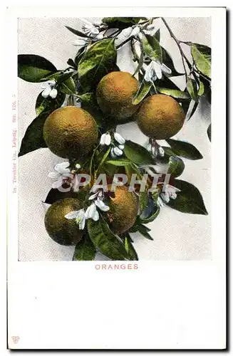 Cartes postales Fantaisie Fleurs Oranges