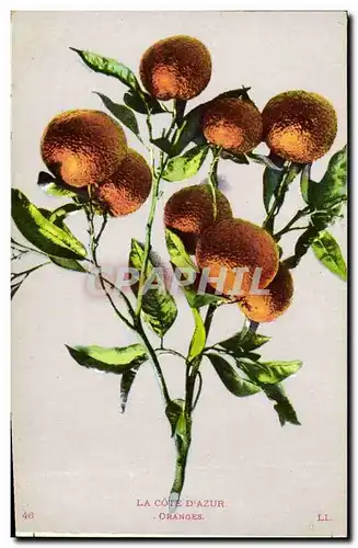 Cartes postales Fantaisie Fleurs Oranges