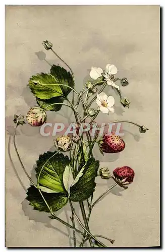 Cartes postales Fantaisie Fleurs