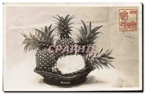 Cartes postales Fantaisie Fleurs Ananas Indes neerlandaises