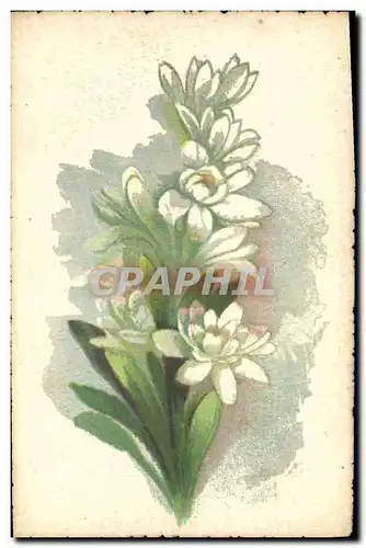 Cartes postales Fantaisie Fleurs