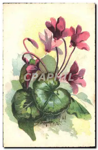 Cartes postales Fantaisie Fleurs