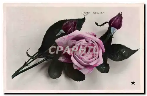 Cartes postales Fantaisie Fleurs