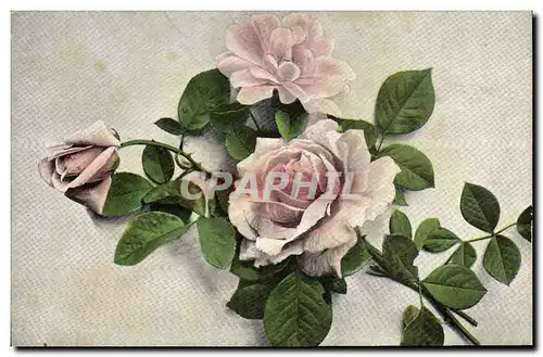 Cartes postales Fantaisie Fleurs