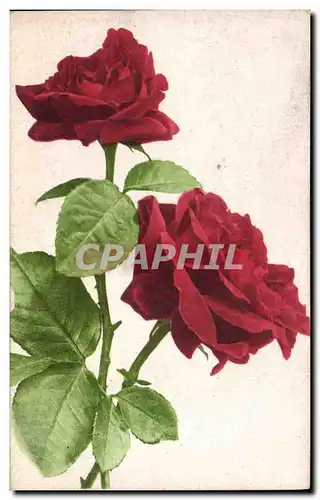 Cartes postales Fantaisie Fleurs