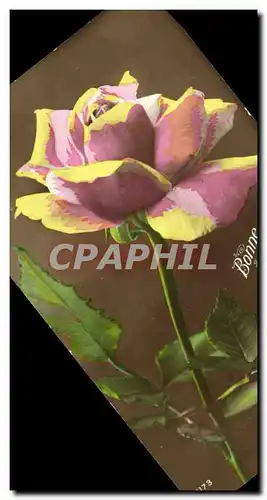 Cartes postales Fantaisie Fleurs