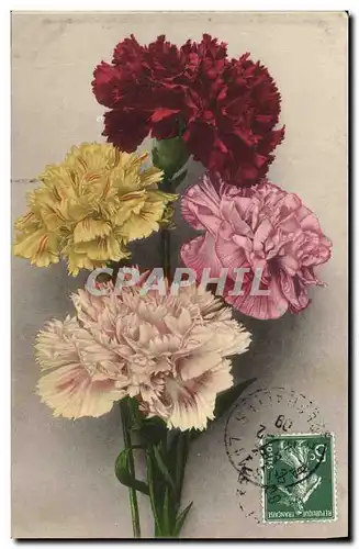 Cartes postales Fantaisie Fleurs