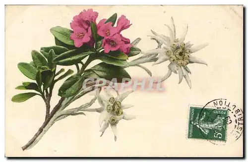 Cartes postales Fantaisie Fleurs