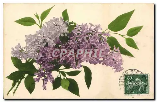 Cartes postales Fantaisie Fleurs