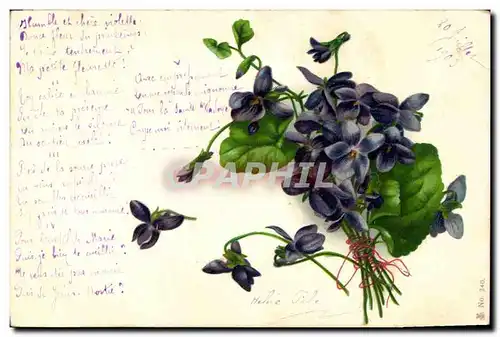 Cartes postales Fantaisie Fleurs